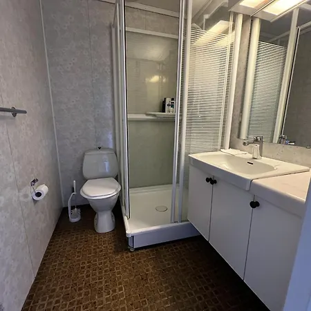 2-bedroom With Balcony & Fireplace! Apartment *